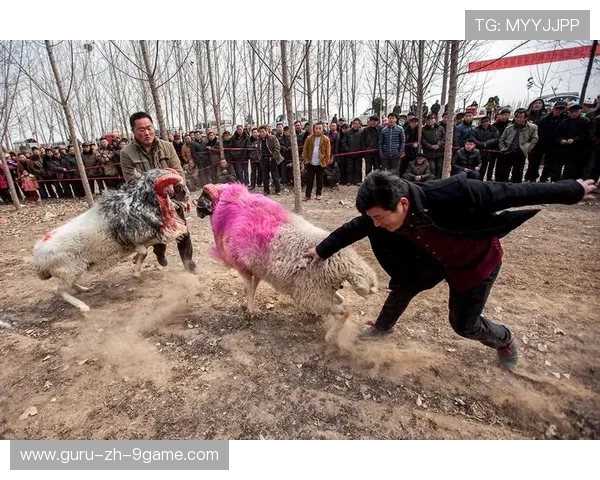 辽阔草原夺羊比赛，传统竞技里的速度争锋